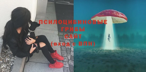 PSILOCYBIN Балахна