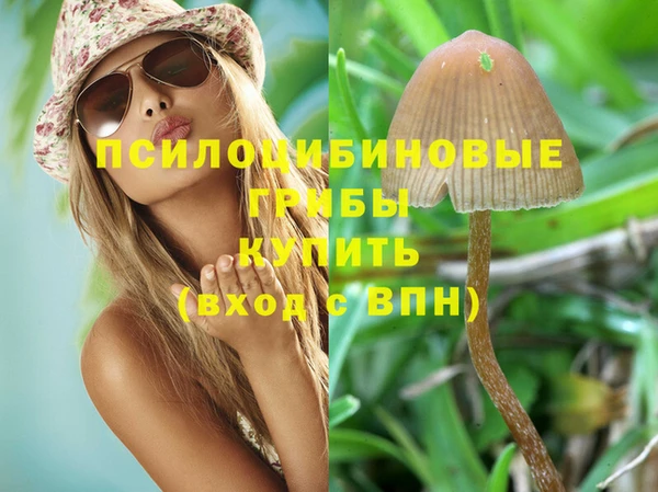 таблы Аркадак