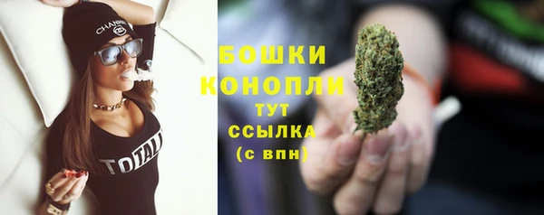 PSILOCYBIN Балахна
