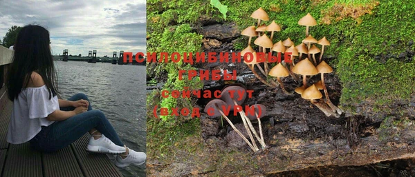 стаф Армянск